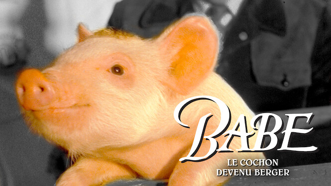 Babe Le Cochon Devenu Berger Netflix Babe, le cochon devenu berger (1995) - Netflix | Flixable
